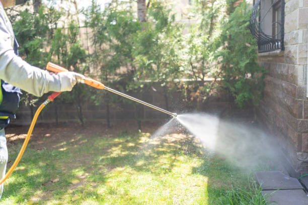 Best Bed Bug Extermination  in Marysville, WA