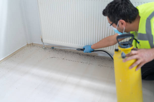 Best Local Pest Control Services  in Marysville, WA